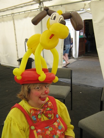 Dog hat